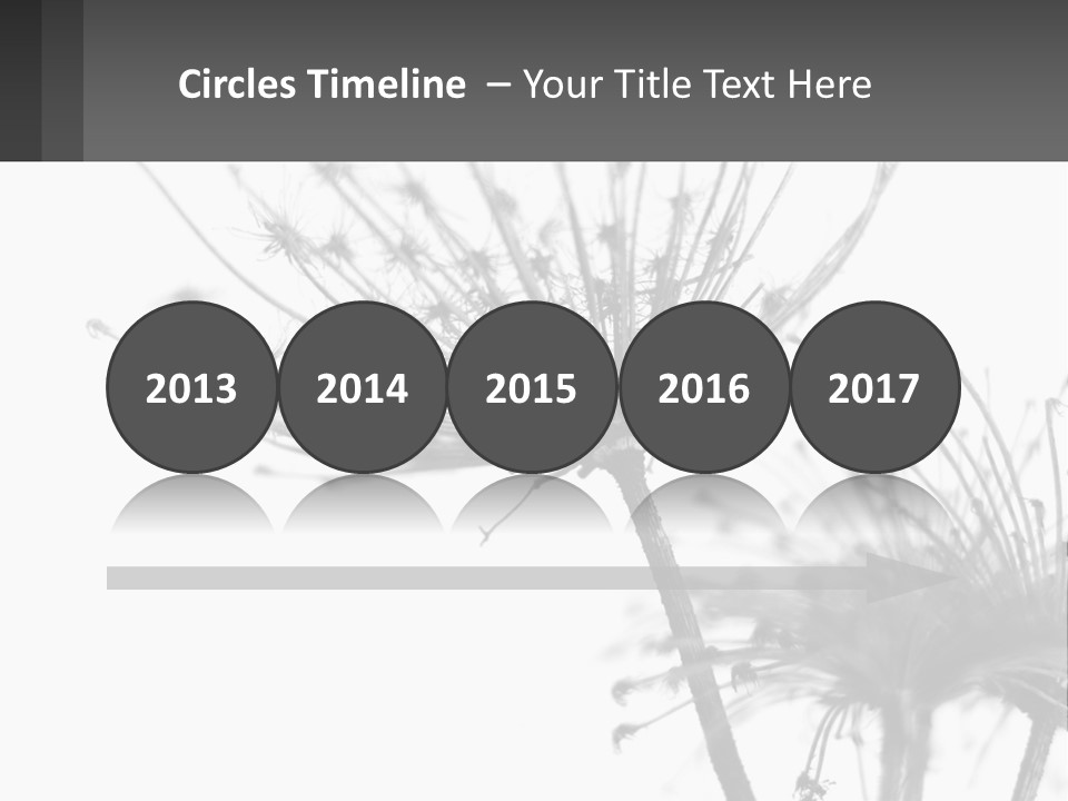 A Black And White Photo Of A Dandelion PowerPoint Template