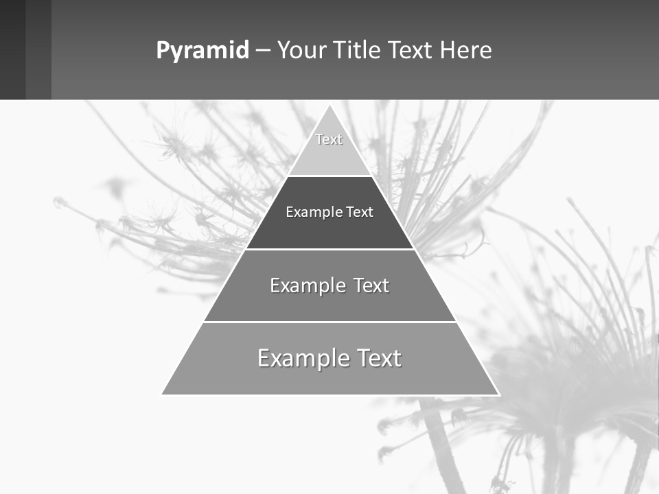 A Black And White Photo Of A Dandelion PowerPoint Template