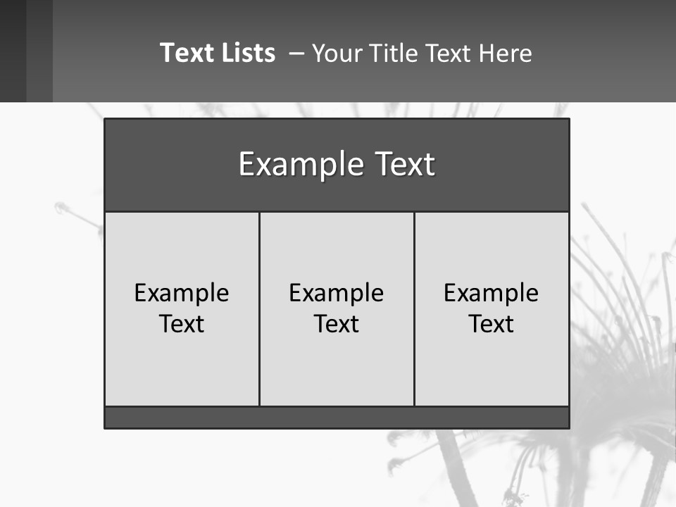 A Black And White Photo Of A Dandelion PowerPoint Template