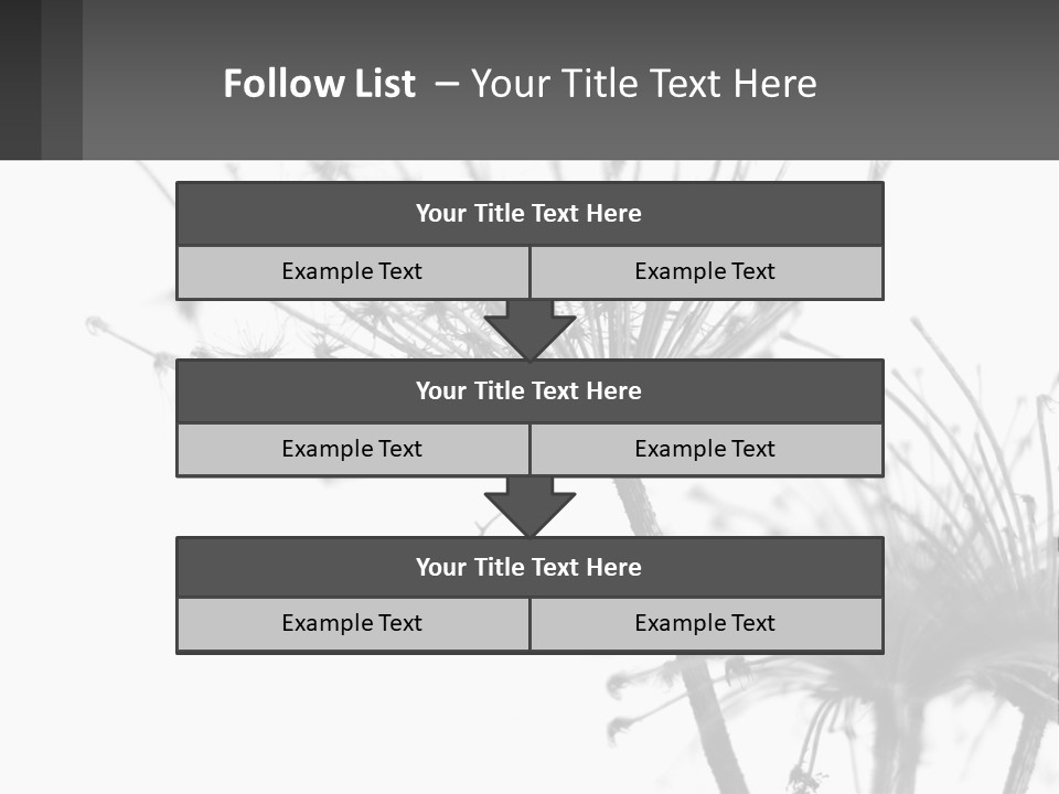 A Black And White Photo Of A Dandelion PowerPoint Template