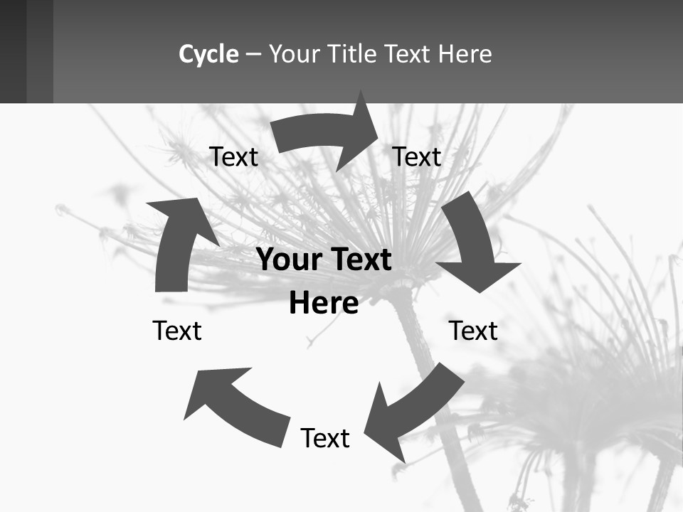 A Black And White Photo Of A Dandelion PowerPoint Template