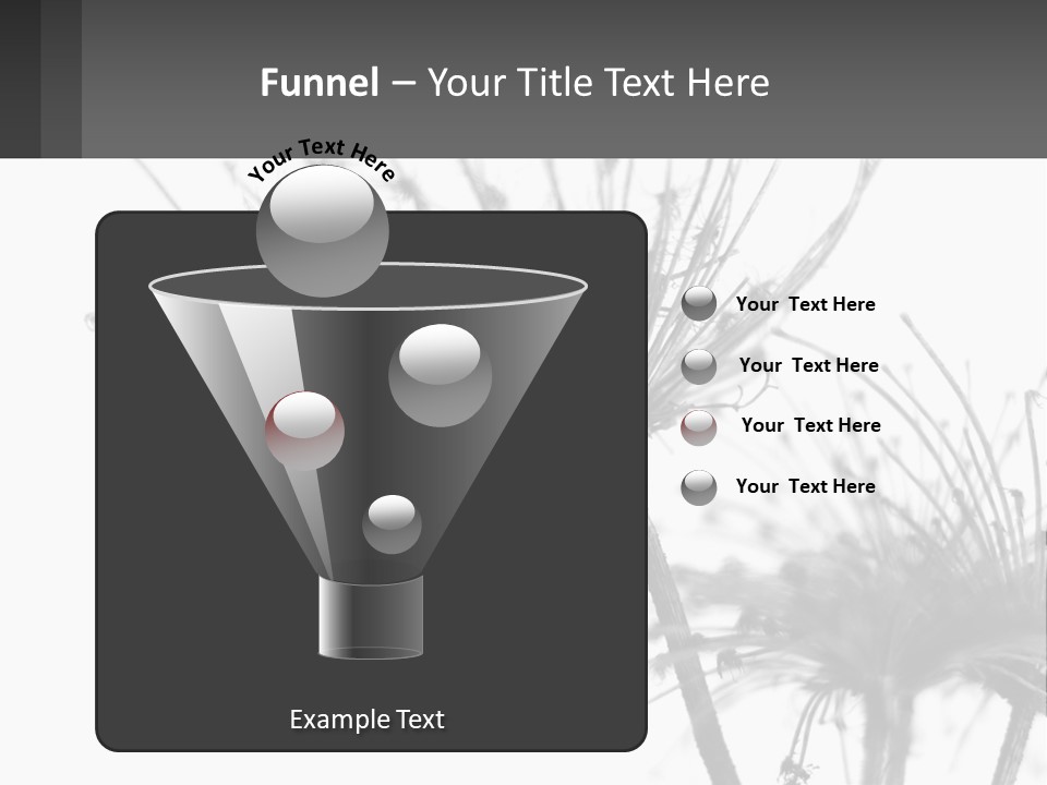 A Black And White Photo Of A Dandelion PowerPoint Template