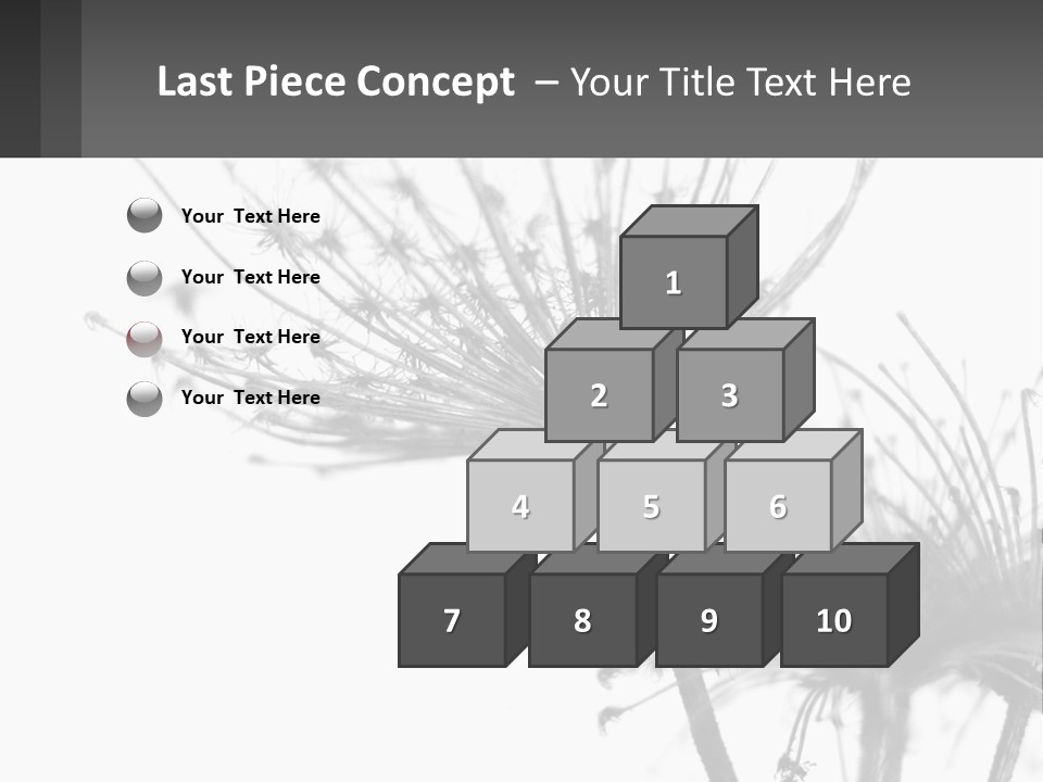 A Black And White Photo Of A Dandelion PowerPoint Template