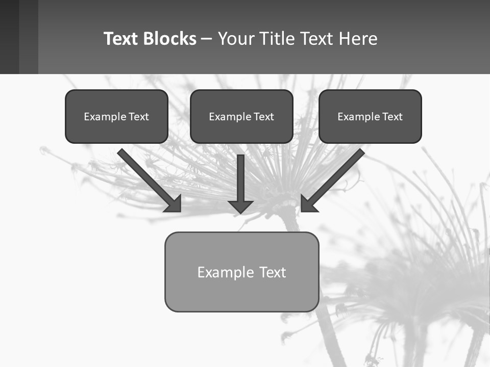 A Black And White Photo Of A Dandelion PowerPoint Template