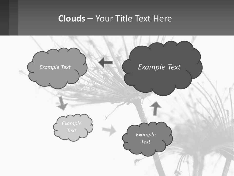 A Black And White Photo Of A Dandelion PowerPoint Template