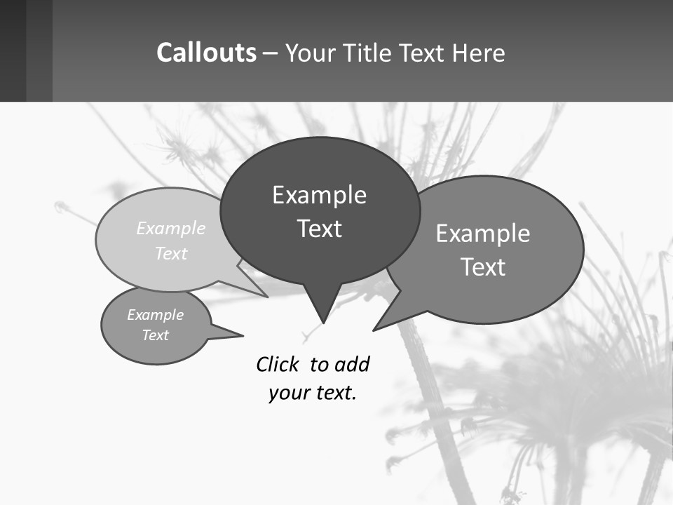 A Black And White Photo Of A Dandelion PowerPoint Template