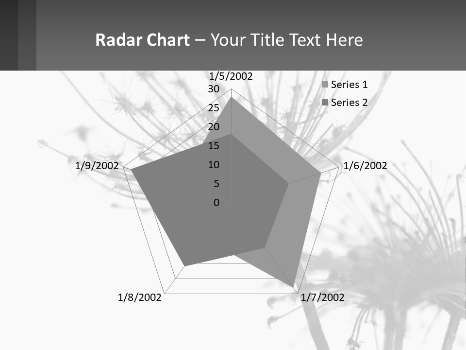 A Black And White Photo Of A Dandelion PowerPoint Template
