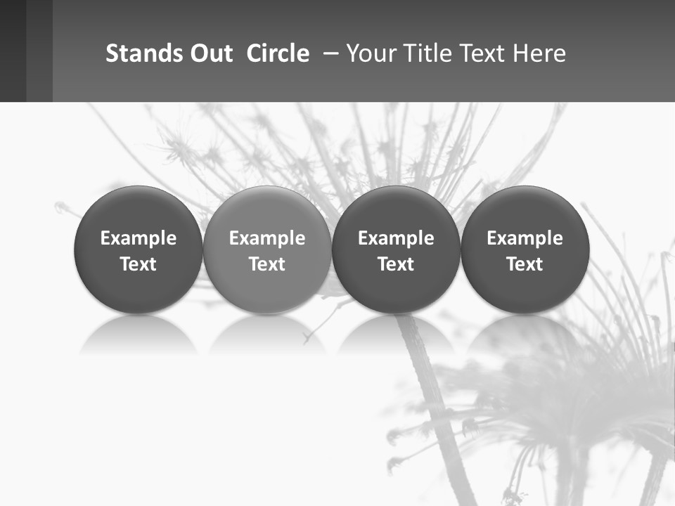 A Black And White Photo Of A Dandelion PowerPoint Template