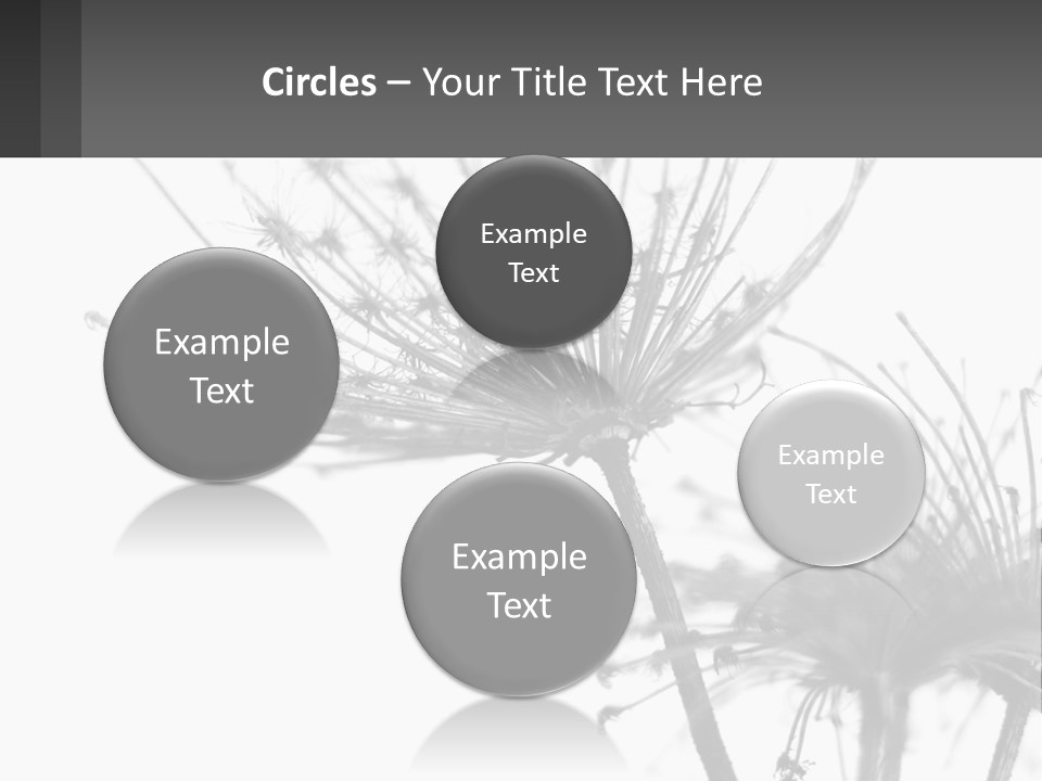 A Black And White Photo Of A Dandelion PowerPoint Template