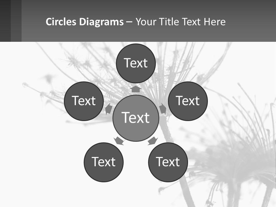 A Black And White Photo Of A Dandelion PowerPoint Template