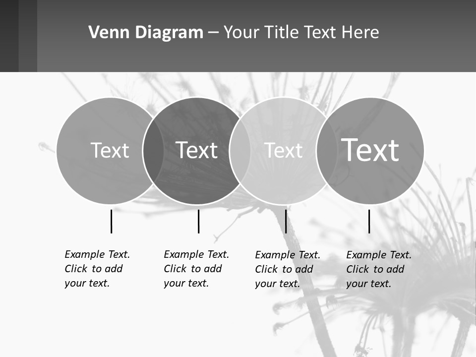 A Black And White Photo Of A Dandelion PowerPoint Template