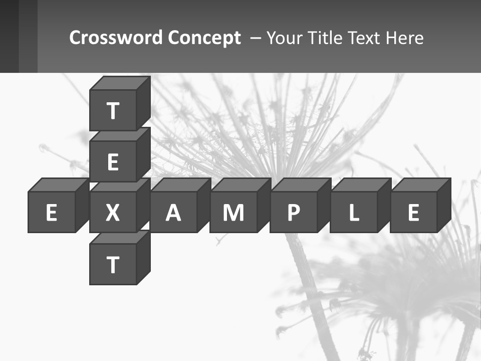 A Black And White Photo Of A Dandelion PowerPoint Template