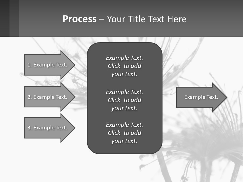 A Black And White Photo Of A Dandelion PowerPoint Template