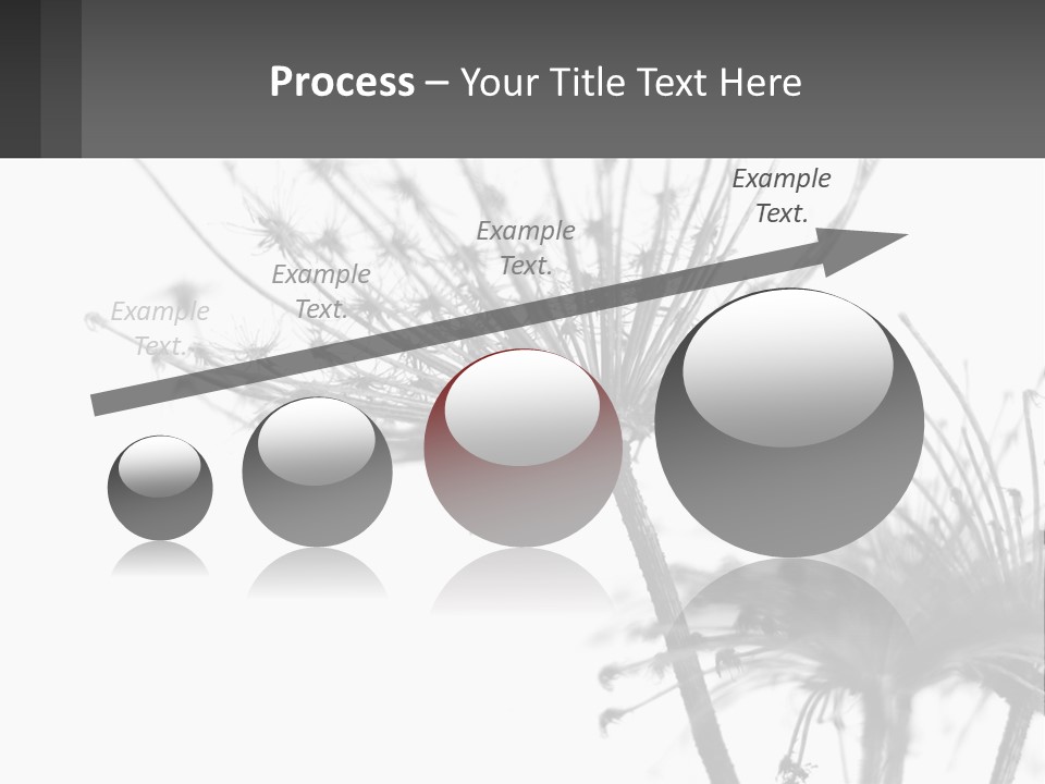 A Black And White Photo Of A Dandelion PowerPoint Template