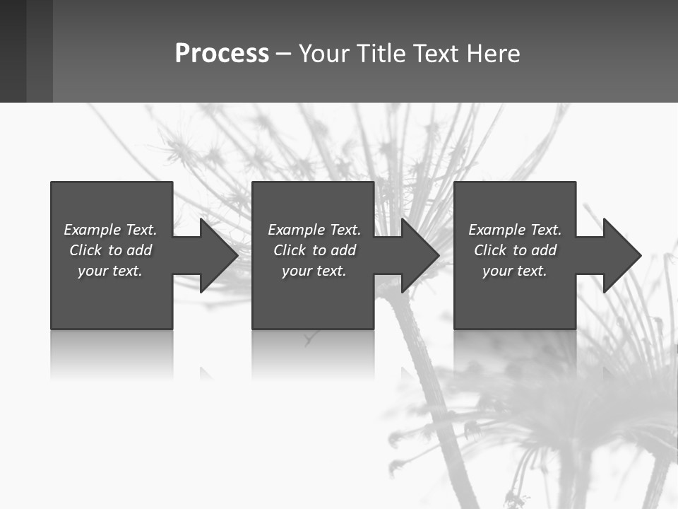 A Black And White Photo Of A Dandelion PowerPoint Template