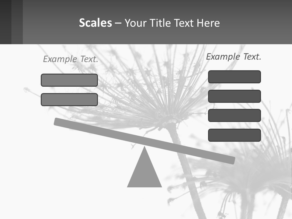A Black And White Photo Of A Dandelion PowerPoint Template