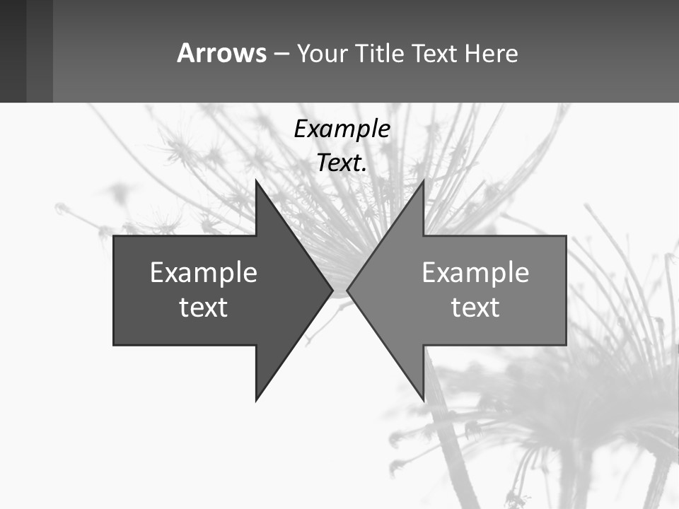 A Black And White Photo Of A Dandelion PowerPoint Template