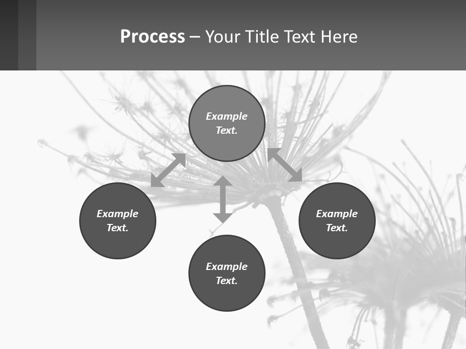 A Black And White Photo Of A Dandelion PowerPoint Template