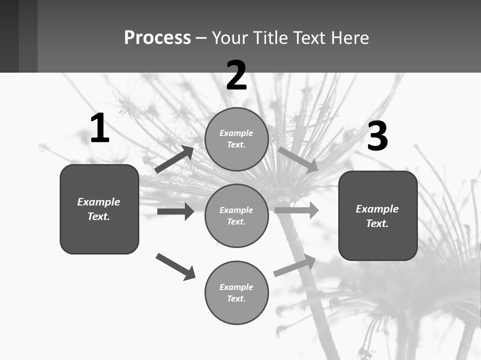 A Black And White Photo Of A Dandelion PowerPoint Template