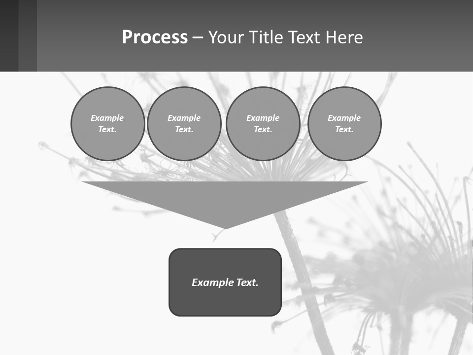 A Black And White Photo Of A Dandelion PowerPoint Template