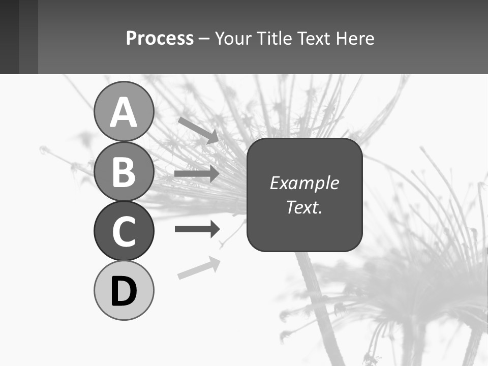 A Black And White Photo Of A Dandelion PowerPoint Template