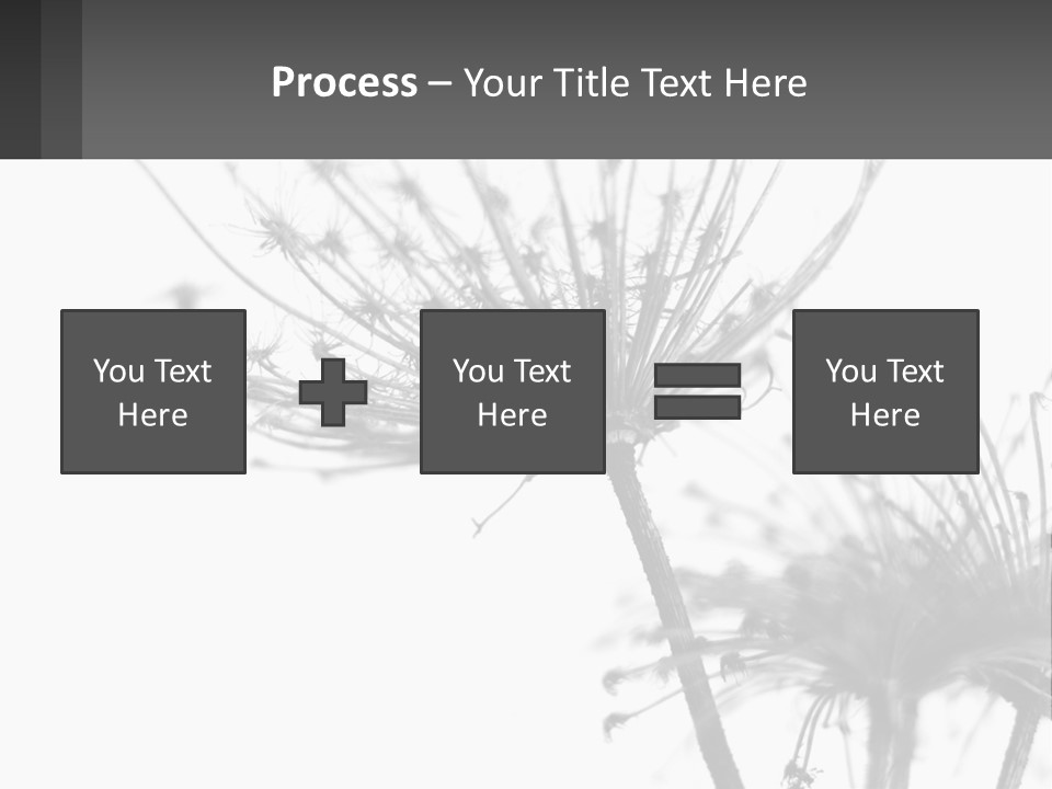 A Black And White Photo Of A Dandelion PowerPoint Template