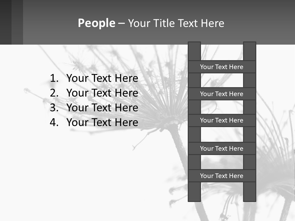 A Black And White Photo Of A Dandelion PowerPoint Template