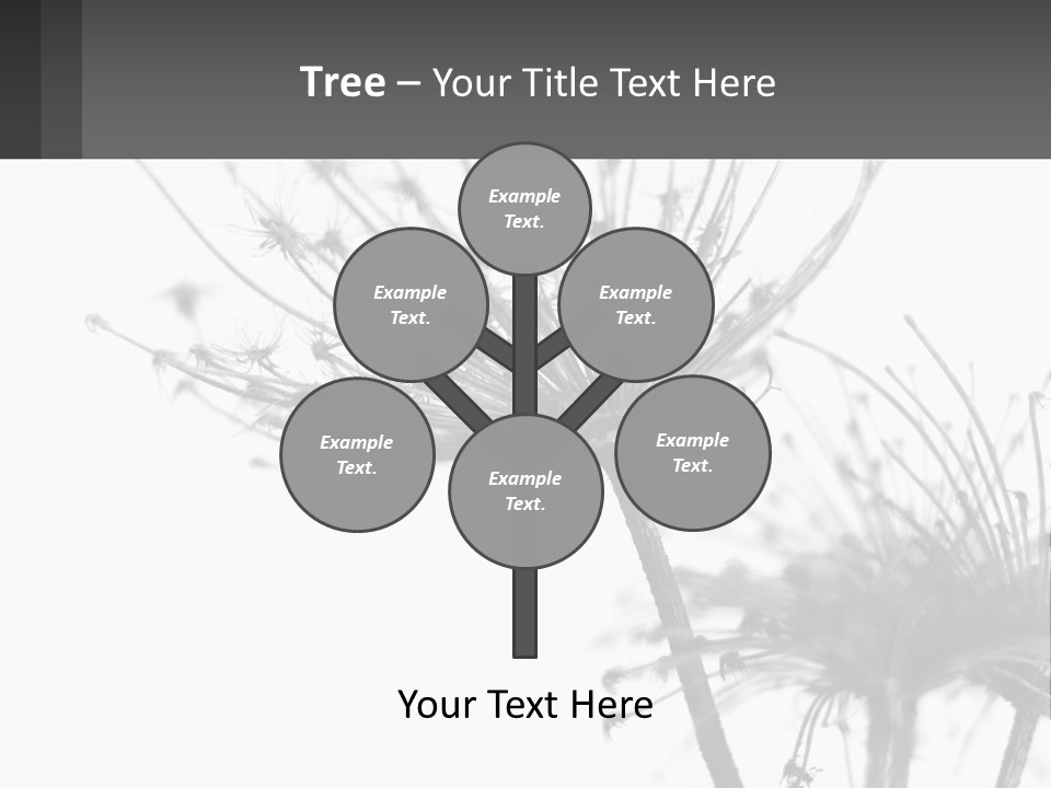 A Black And White Photo Of A Dandelion PowerPoint Template