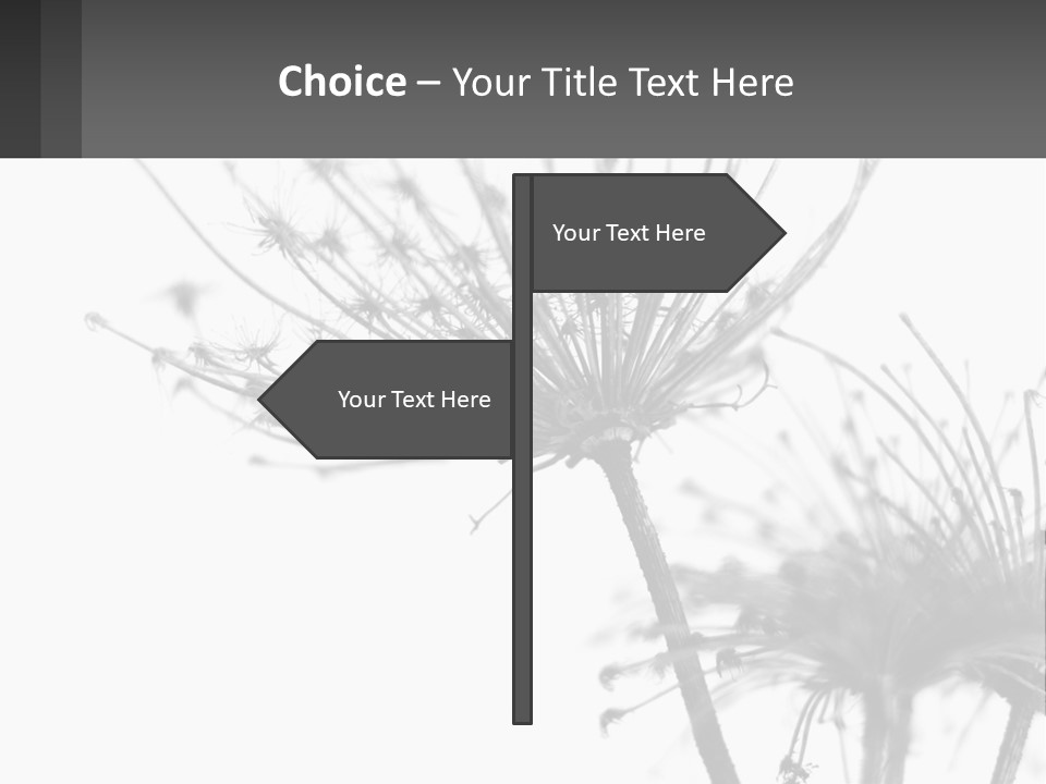 A Black And White Photo Of A Dandelion PowerPoint Template