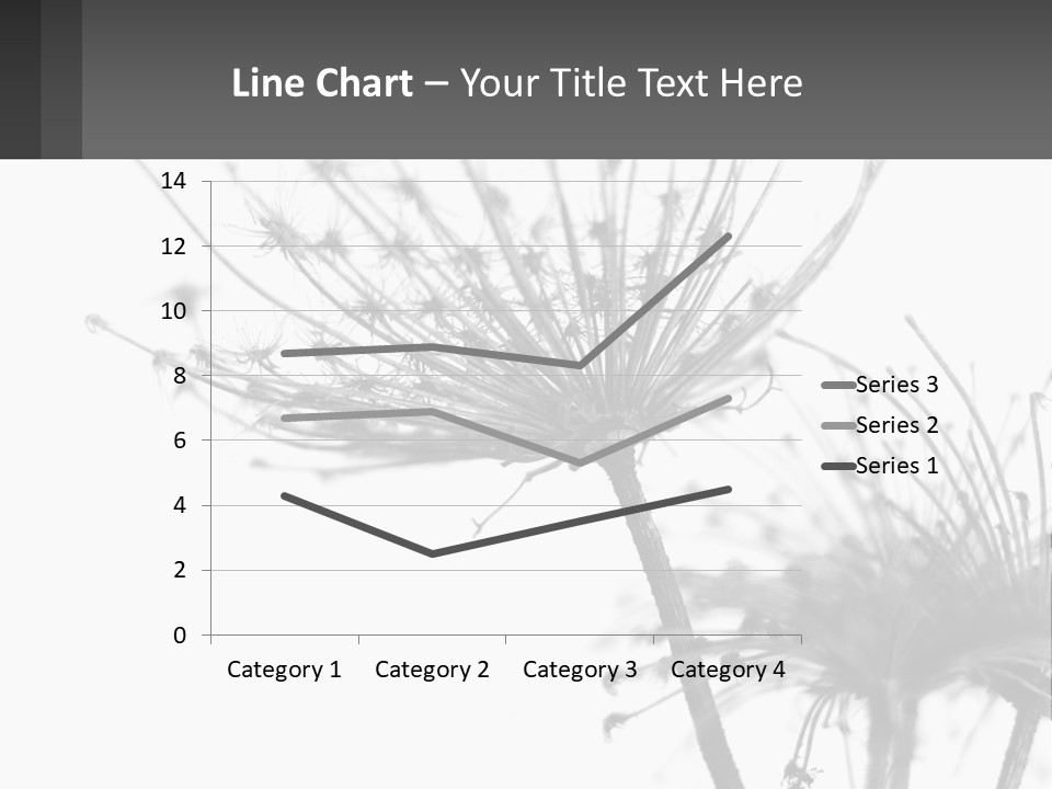 A Black And White Photo Of A Dandelion PowerPoint Template