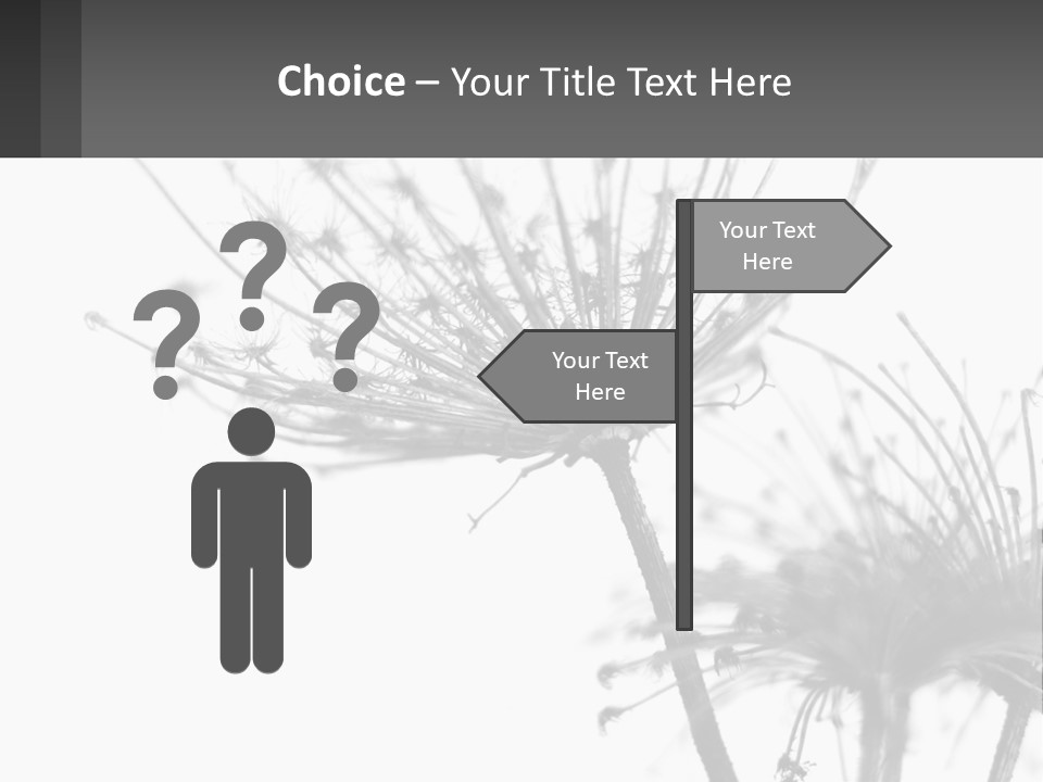 A Black And White Photo Of A Dandelion PowerPoint Template