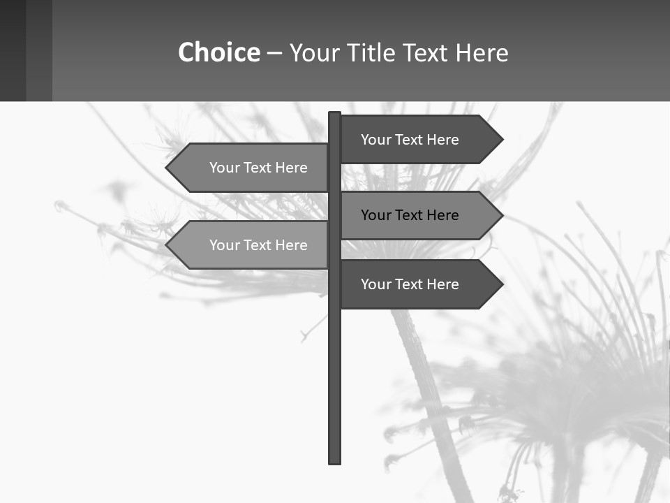 A Black And White Photo Of A Dandelion PowerPoint Template