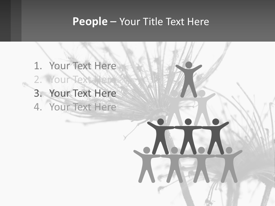 A Black And White Photo Of A Dandelion PowerPoint Template