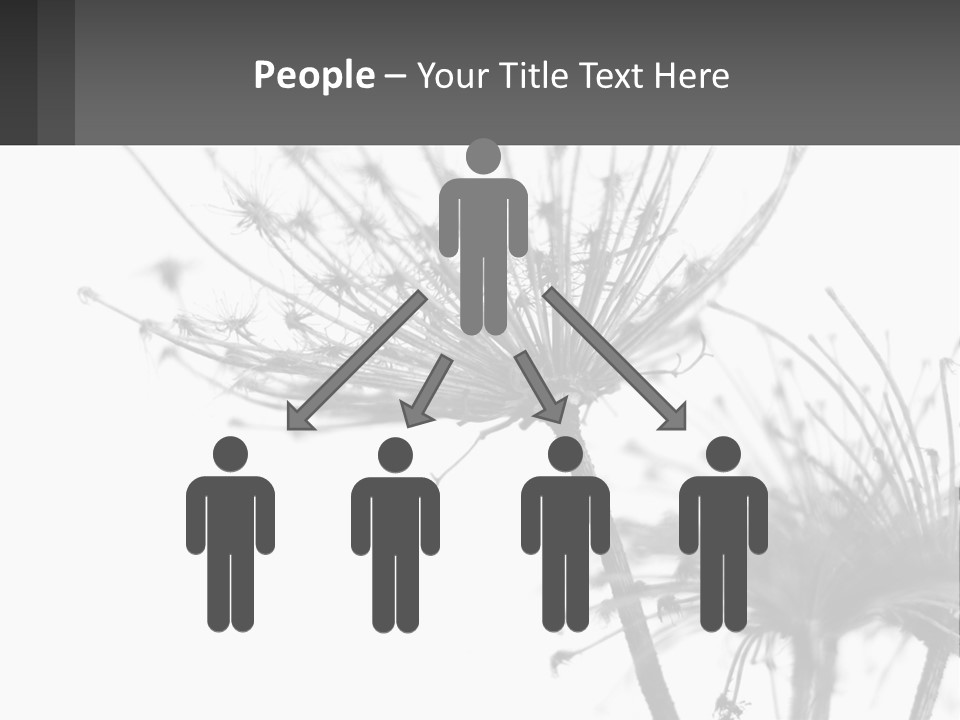 A Black And White Photo Of A Dandelion PowerPoint Template