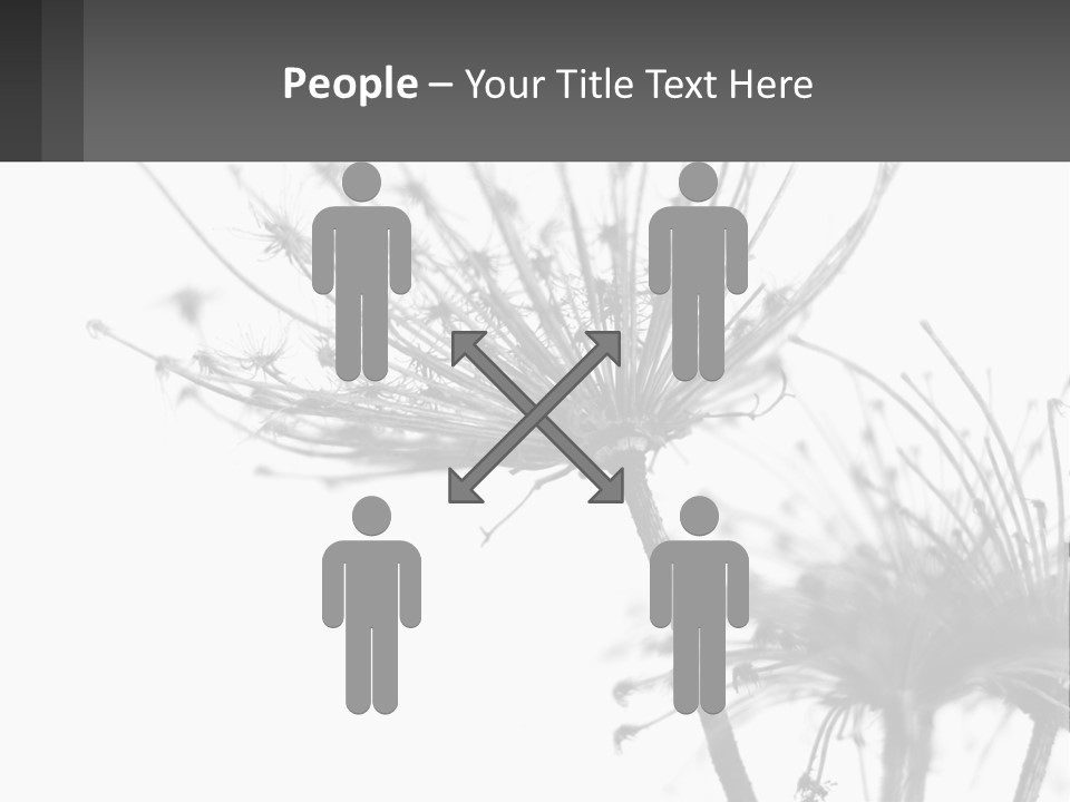 A Black And White Photo Of A Dandelion PowerPoint Template