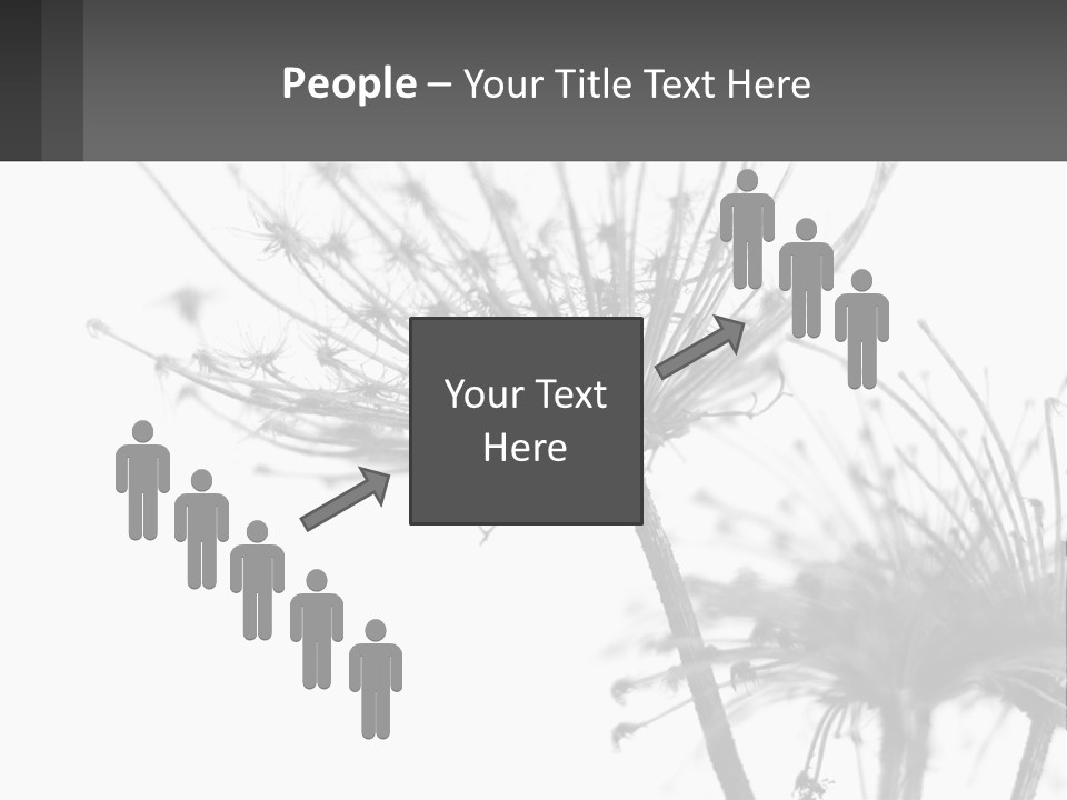 A Black And White Photo Of A Dandelion PowerPoint Template
