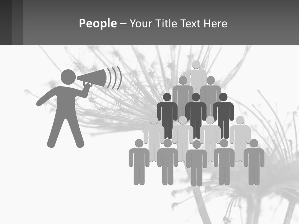 A Black And White Photo Of A Dandelion PowerPoint Template