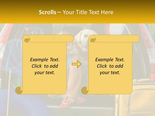 A Little Girl Sitting In The Back Of A Car With A Dog PowerPoint Template