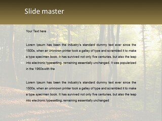 A Forest Filled With Lots Of Trees And Leaves PowerPoint Template