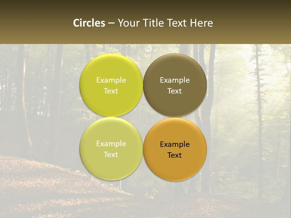 A Forest Filled With Lots Of Trees And Leaves PowerPoint Template