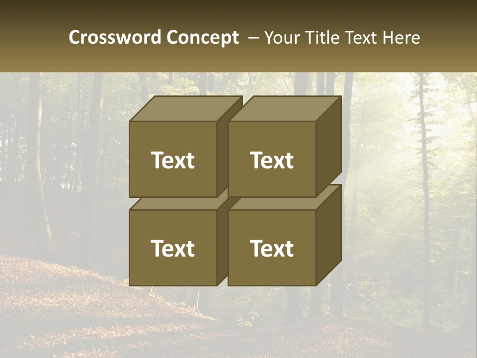A Forest Filled With Lots Of Trees And Leaves PowerPoint Template