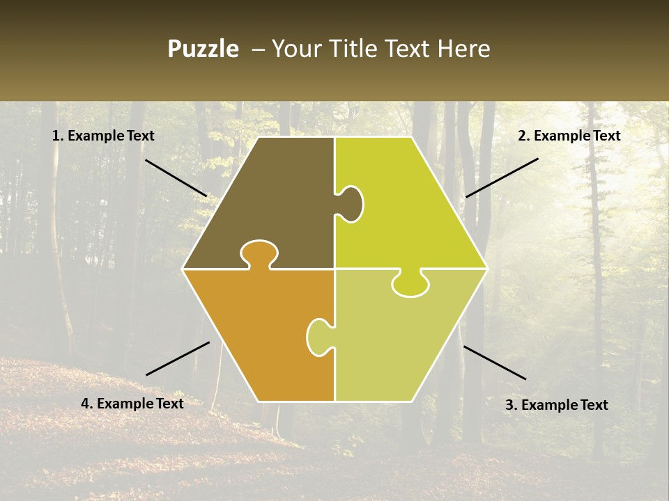 A Forest Filled With Lots Of Trees And Leaves PowerPoint Template