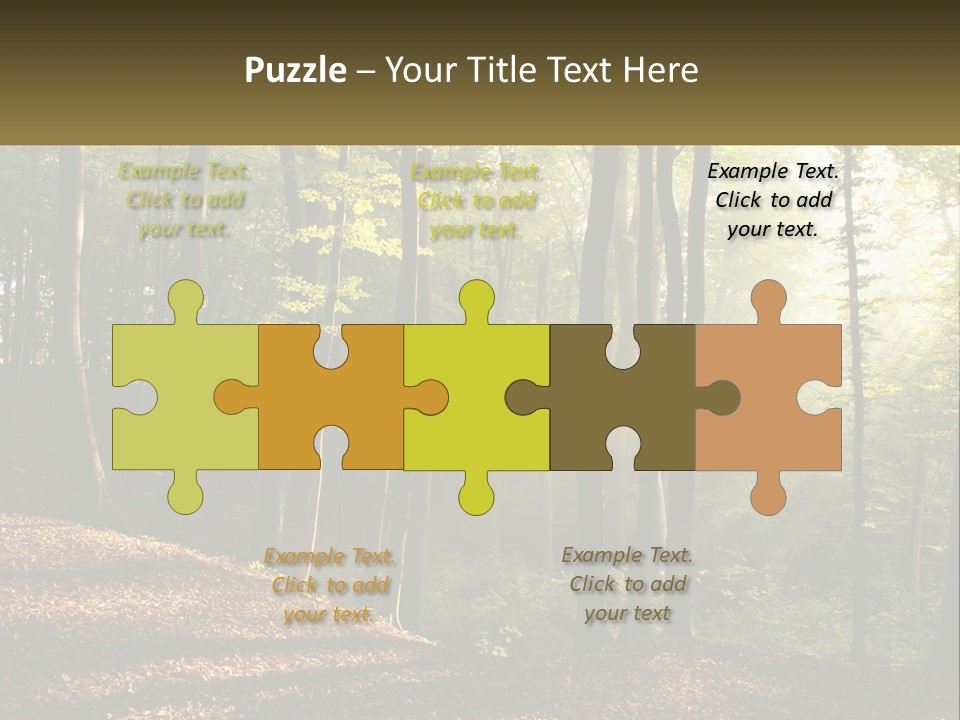 A Forest Filled With Lots Of Trees And Leaves PowerPoint Template