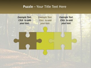 A Forest Filled With Lots Of Trees And Leaves PowerPoint Template