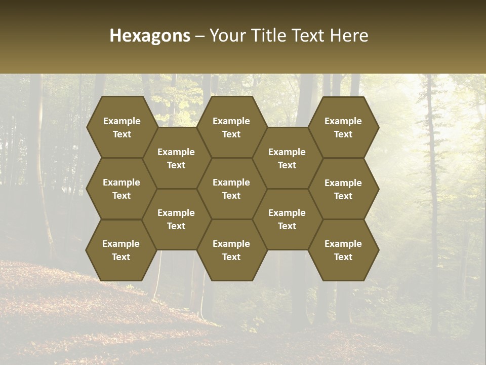 A Forest Filled With Lots Of Trees And Leaves PowerPoint Template