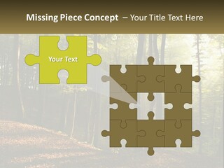 A Forest Filled With Lots Of Trees And Leaves PowerPoint Template