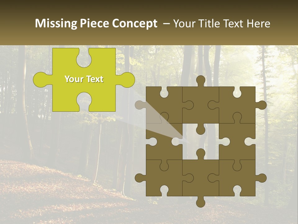A Forest Filled With Lots Of Trees And Leaves PowerPoint Template