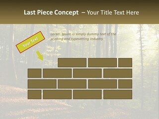 A Forest Filled With Lots Of Trees And Leaves PowerPoint Template