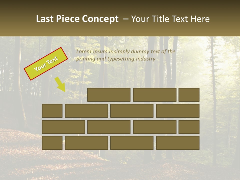 A Forest Filled With Lots Of Trees And Leaves PowerPoint Template