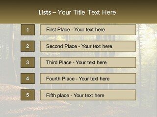 A Forest Filled With Lots Of Trees And Leaves PowerPoint Template
